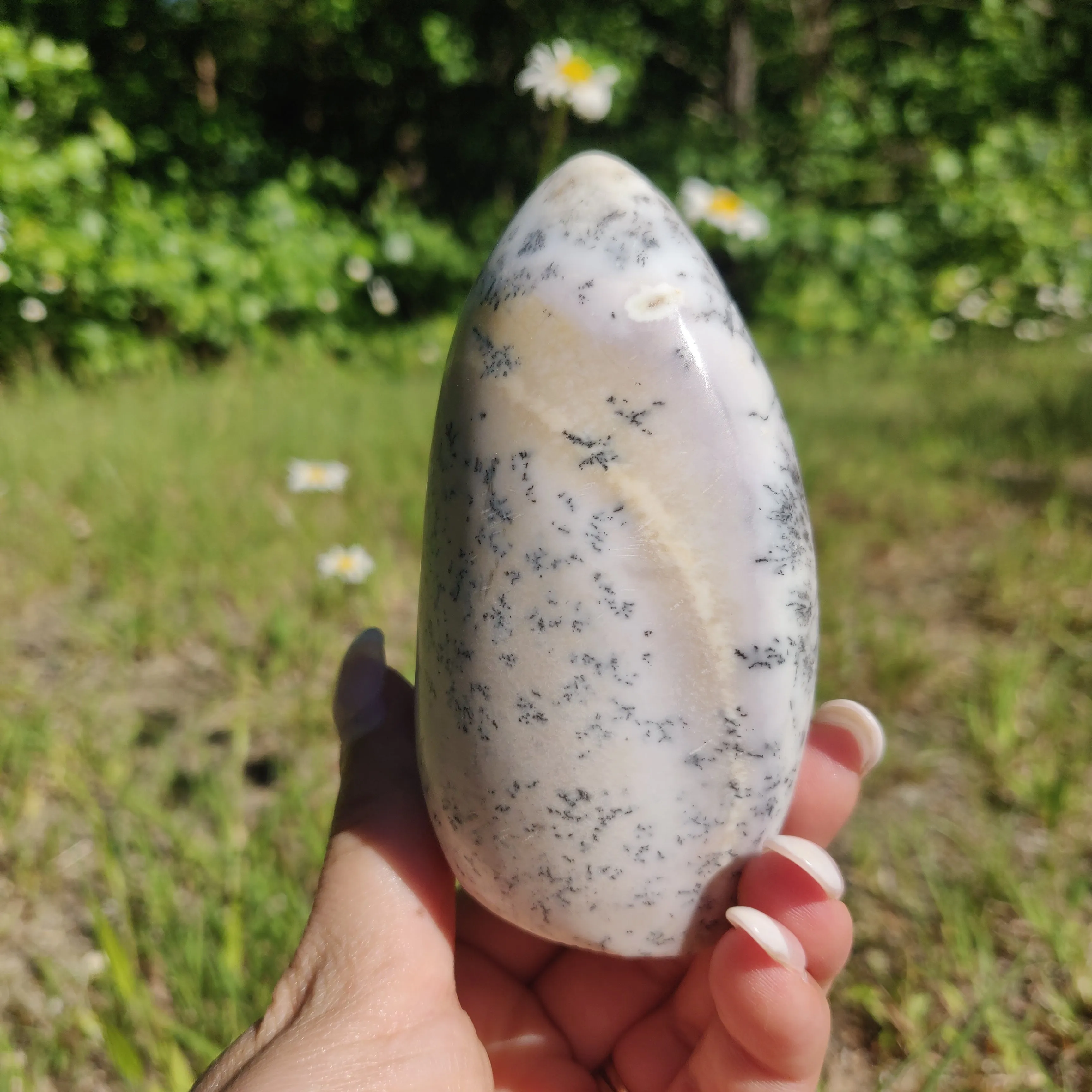 Purple Dendritic Opal Free Form (#1)